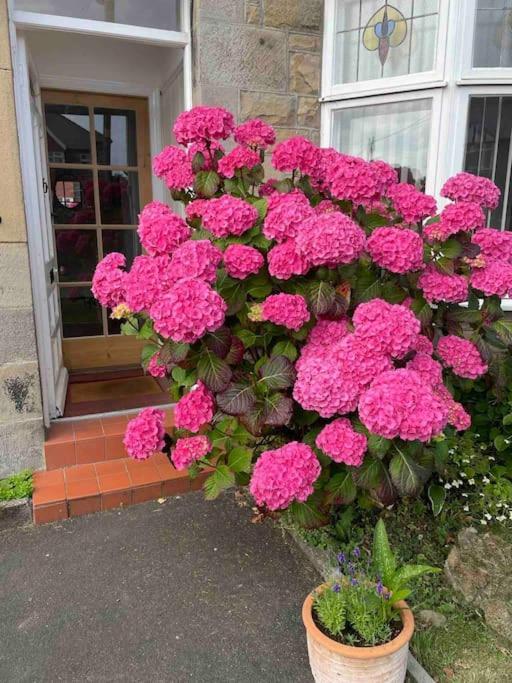 Kelvinside, Seahouses, 2 Minute Walk Into Village מראה חיצוני תמונה