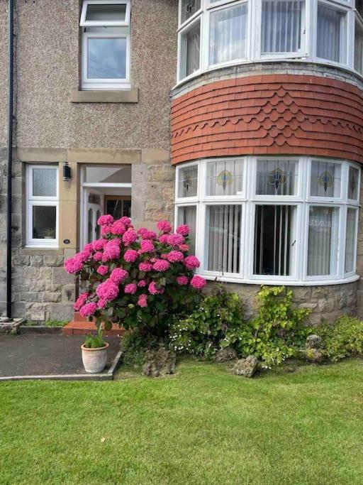 Kelvinside, Seahouses, 2 Minute Walk Into Village מראה חיצוני תמונה